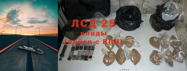 крисы Лагань