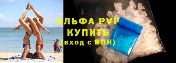 дживик Ладушкин