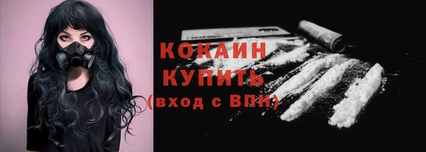 крисы Лагань
