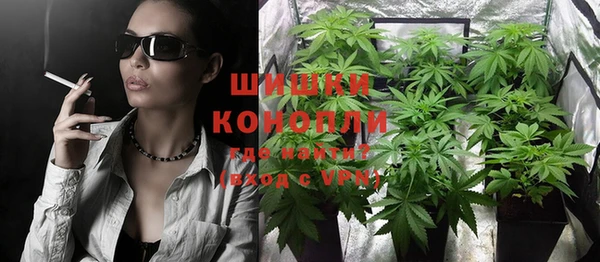 крисы Лагань