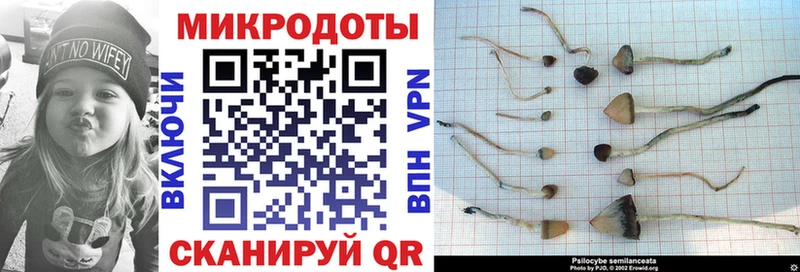 Псилоцибиновые грибы мухоморы  наркошоп  Суздаль 